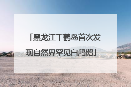 黑龙江千鹤岛首次发现自然界罕见白鸬鹚