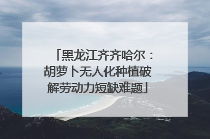 黑龙江齐齐哈尔：胡萝卜无人化种植破解劳动力短缺难题