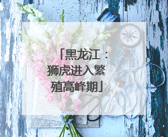 黑龙江：狮虎进入繁殖高峰期