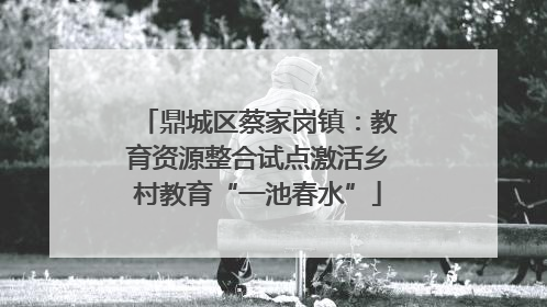 鼎城区蔡家岗镇：教育资源整合试点激活乡村教育“一池春水”
