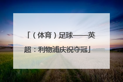 （体育）足球——英超：利物浦庆祝夺冠