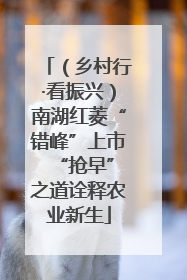 （乡村行·看振兴）南湖红菱“错峰”上市 “抢早”之道诠释农业新生