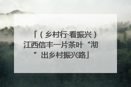 （乡村行·看振兴）江西信丰一片茶叶“沏”出乡村振兴路