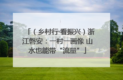 （乡村行·看振兴）浙江磐安：一村一画像 山水也能带“流量”