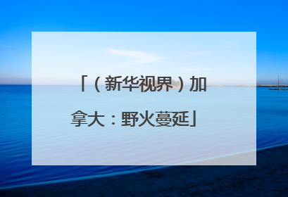 （新华视界）加拿大：野火蔓延