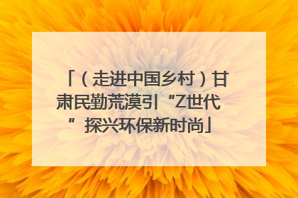 （走进中国乡村）甘肃民勤荒漠引“Z世代”探兴环保新时尚