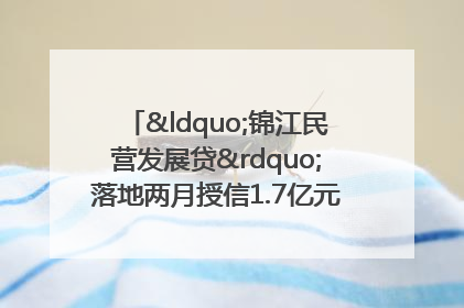 “锦江民营发展贷”落地两月授信1.7亿元，惠及118家民企