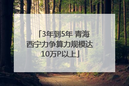 3年到5年 青海西宁力争算力规模达10万P以上