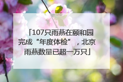 107只雨燕在颐和园完成“年度体检”，北京雨燕数量已超一万只
