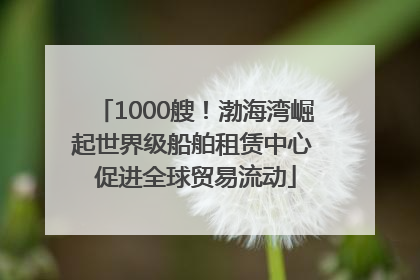 1000艘！渤海湾崛起世界级船舶租赁中心 促进全球贸易流动