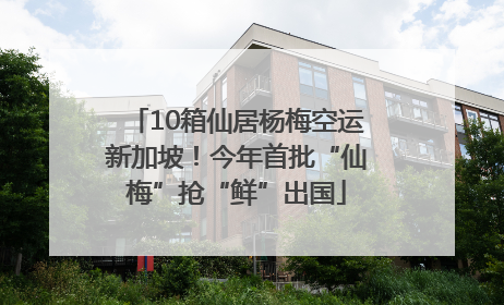 10箱仙居杨梅空运新加坡！今年首批“仙梅”抢“鲜”出国