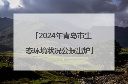 2024年青岛市生态环境状况公报出炉
