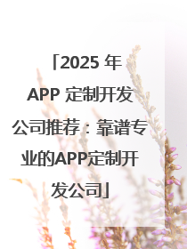 2025 年 APP 定制开发公司推荐：靠谱专业的APP定制开发公司