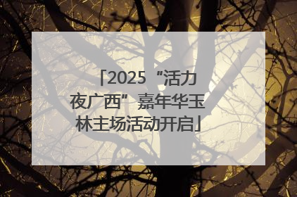 2025“活力夜广西”嘉年华玉林主场活动开启
