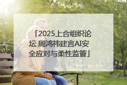 2025上合组织论坛 周鸿祎建言AI安全应对与柔性监管