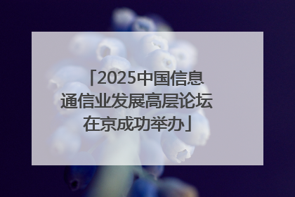 2025中国信息通信业发展高层论坛在京成功举办