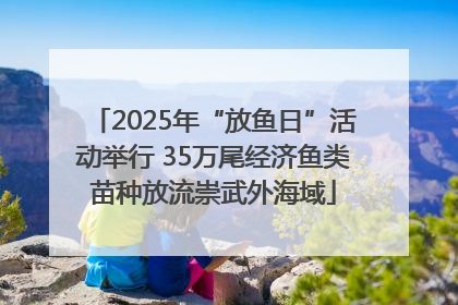 2025年“放鱼日”活动举行 35万尾经济鱼类苗种放流崇武外海域