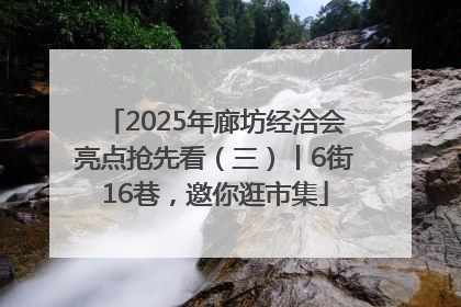 2025年廊坊经洽会亮点抢先看（三）丨6街16巷，邀你逛市集