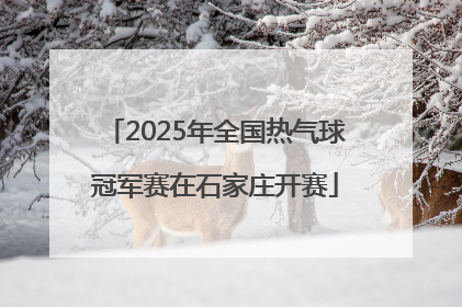 2025年全国热气球冠军赛在石家庄开赛