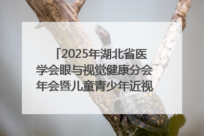 2025年湖北省医学会眼与视觉健康分会年会暨儿童青少年近视防控研讨会在荆召开