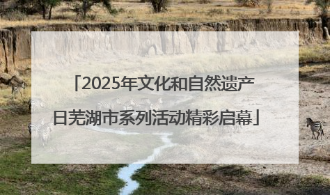 2025年文化和自然遗产日芜湖市系列活动精彩启幕