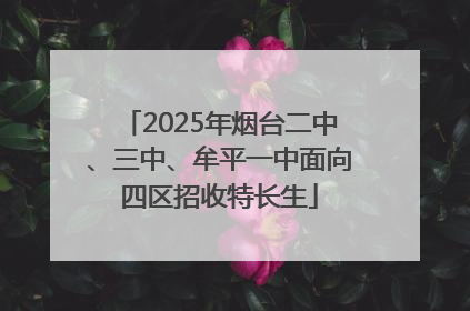 2025年烟台二中、三中、牟平一中面向四区招收特长生