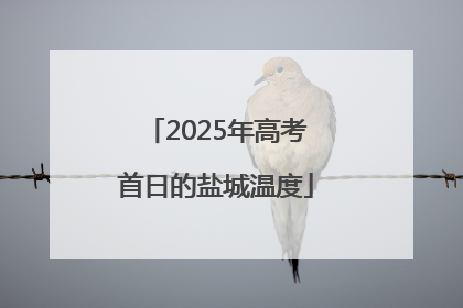 2025年高考首日的盐城温度