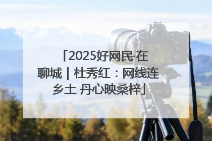 2025好网民·在聊城｜杜秀红：网线连乡土 丹心映桑梓
