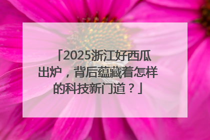 2025浙江好西瓜出炉，背后蕴藏着怎样的科技新门道？