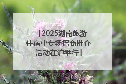 2025湖南旅游住宿业专场招商推介活动在沪举行