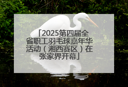 2025第四届全省职工羽毛球嘉年华活动（湘西赛区）在张家界开幕