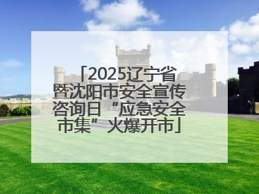 2025辽宁省暨沈阳市安全宣传咨询日“应急安全市集”火爆开市