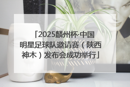 2025麟州杯·中国明星足球队邀请赛（陕西神木）发布会成功举行