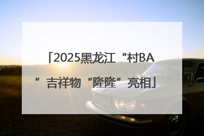 2025黑龙江“村BA”吉祥物“隆隆”亮相