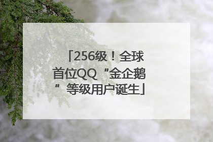 256级！全球首位QQ“金企鹅”等级用户诞生