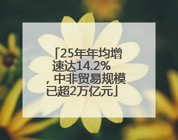 25年年均增速达14.2%，中非贸易规模已超2万亿元