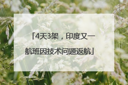 4天3架，印度又一航班因技术问题返航