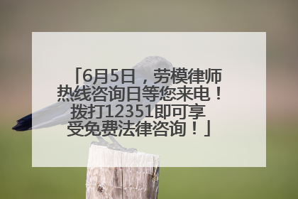 6月5日，劳模律师热线咨询日等您来电！拨打12351即可享受免费法律咨询！