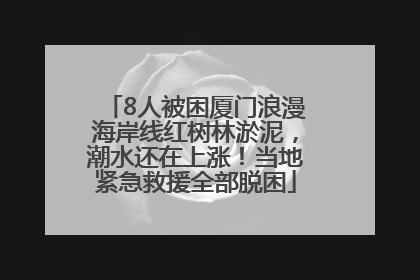 8人被困厦门浪漫海岸线红树林淤泥，潮水还在上涨！当地紧急救援全部脱困