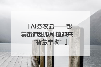 AI务农记——彭集街道甜瓜种植迎来“智慧丰收”