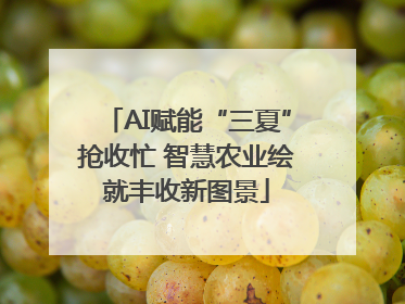 AI赋能“三夏”抢收忙 智慧农业绘就丰收新图景