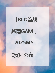 BLG首战越南GAM，2025MSI赛程公布