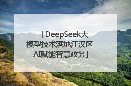 DeepSeek大模型技术落地江汉区 AI赋能智慧政务
